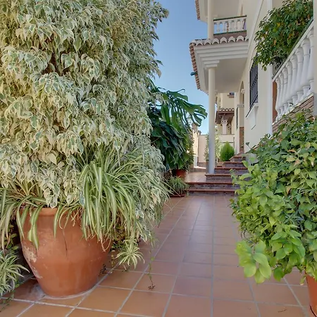 Ninfa Nerja
